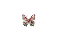 Thumbnail for Iridescent Butterfly Throw Pillow | Pink Green Eyespot Wings Decorative Pillow | Nature Lover Gift