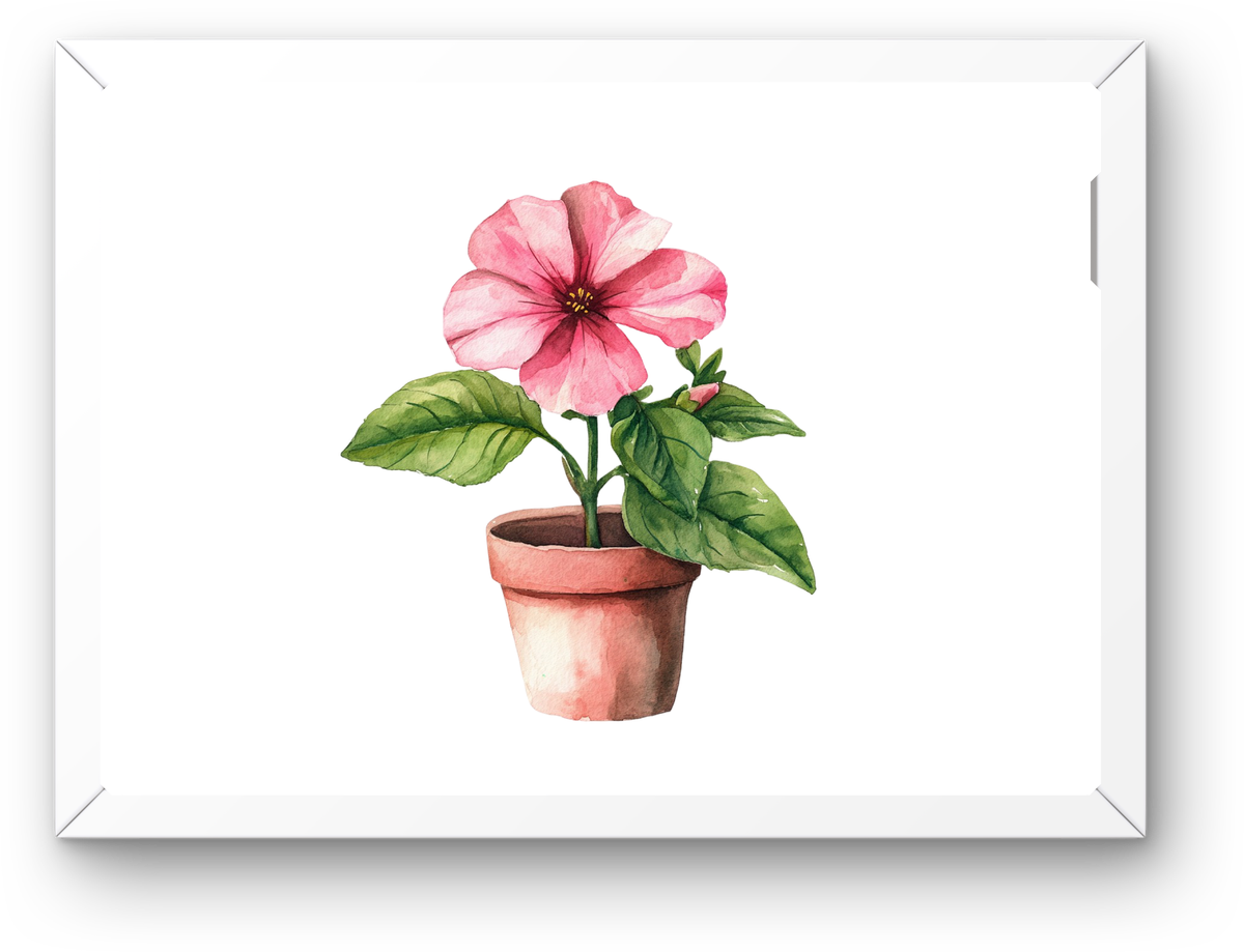 Pink Petunia Potted Flower Wall Art | Watercolor Botanical Print | Garden Home Gift