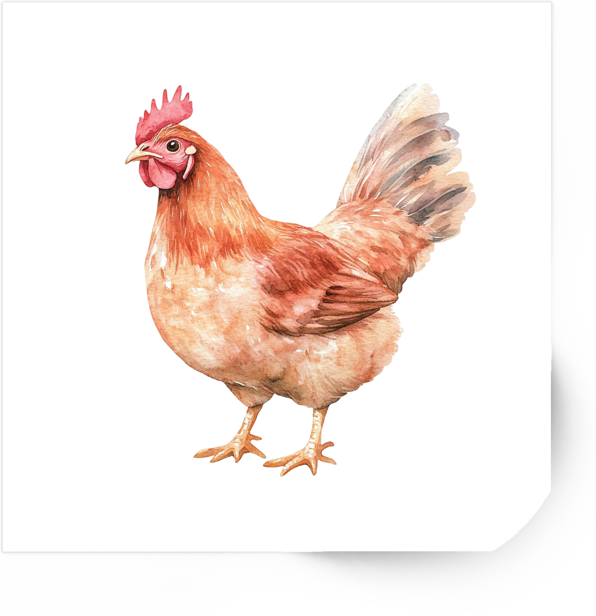 Watercolor Hen Sticker | Rustic Farmhouse Chicken Vinyl Decal | Country Farm Gift