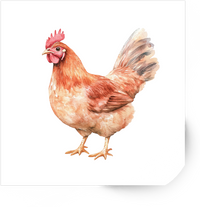 Thumbnail for Watercolor Hen Sticker | Rustic Farmhouse Chicken Vinyl Decal | Country Farm Gift